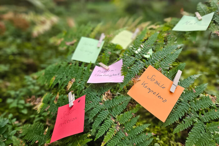 kopfüber coaching - Meine Angebote