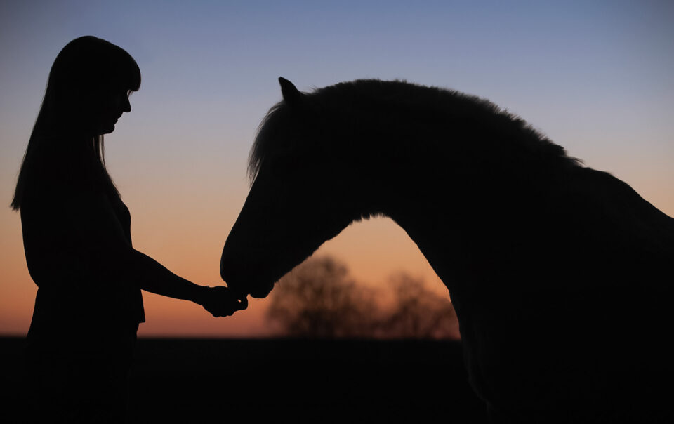 kopfüber coaching - Meine Angebote