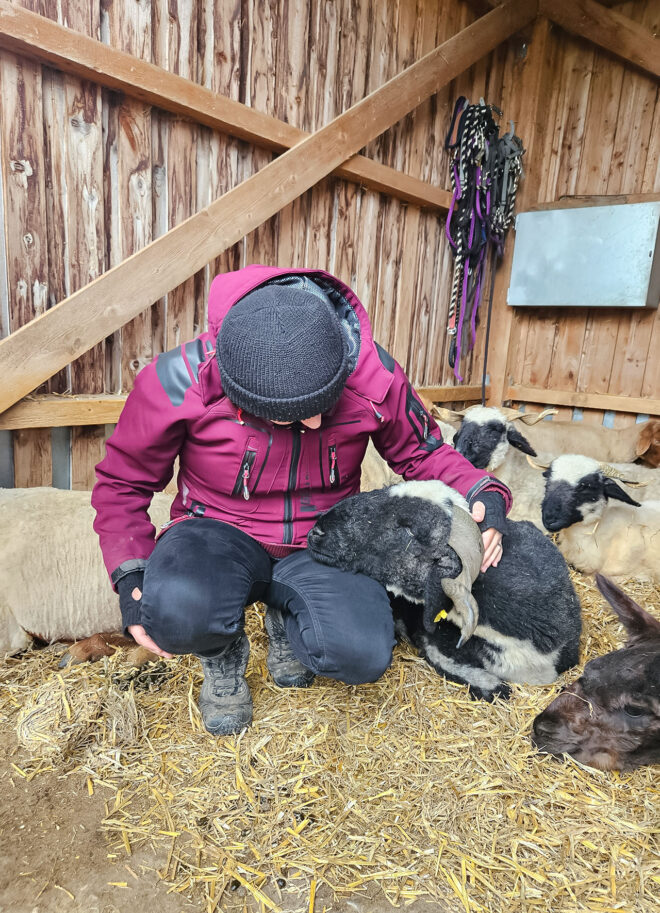 kopfüber coaching - Meine Angebote