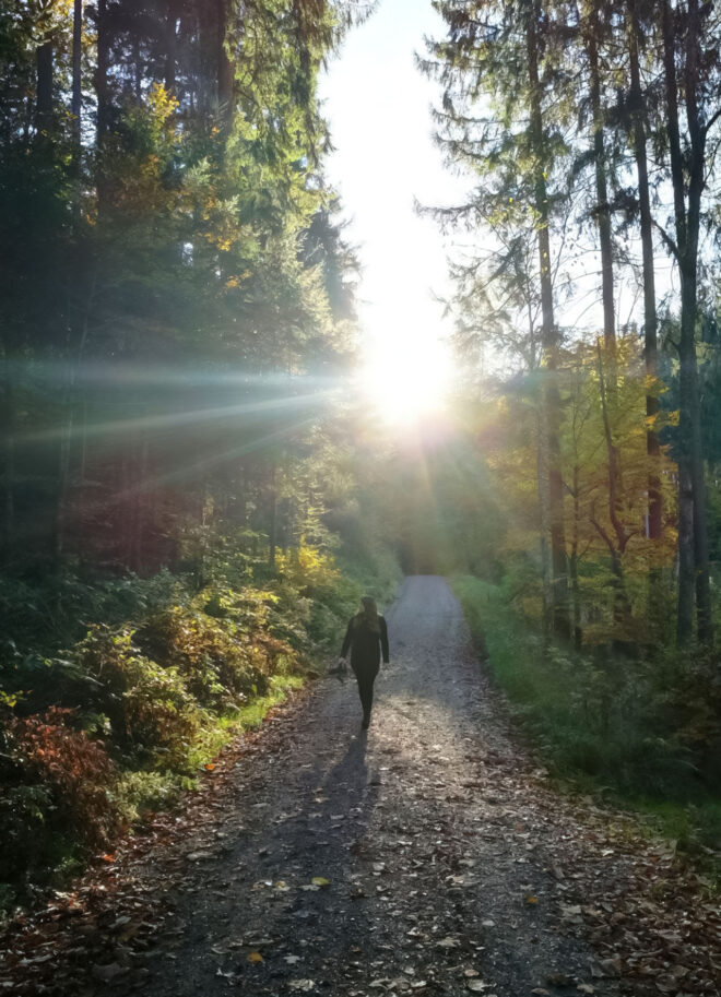 kopfüber coaching - Meine Angebote